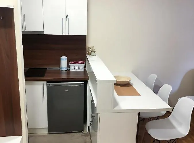 公寓 Alisa 兹拉蒂博尔