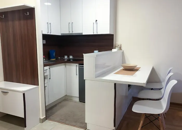 Alisa 公寓 兹拉蒂博尔